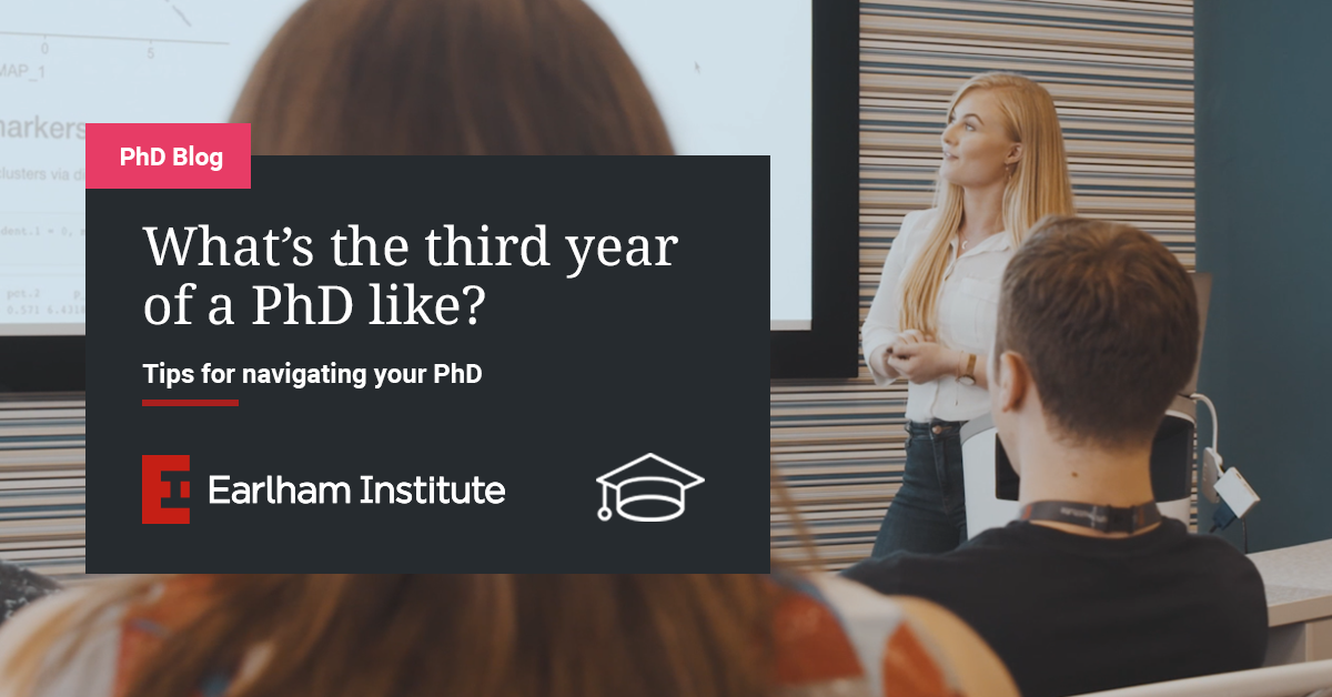 What’s the third year of a PhD like?